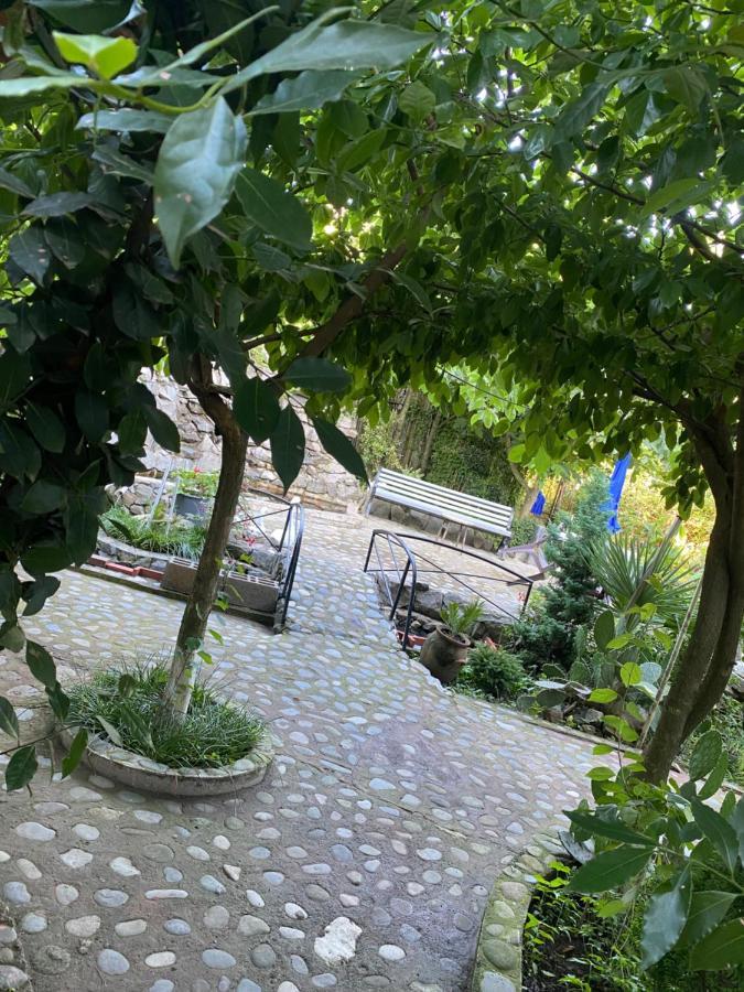 Holiday House Chkonia Ξενοδοχείο Μπατούμι Εξωτερικό φωτογραφία