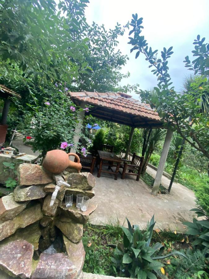 Holiday House Chkonia Ξενοδοχείο Μπατούμι Εξωτερικό φωτογραφία