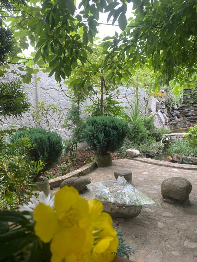 Holiday House Chkonia Ξενοδοχείο Μπατούμι Εξωτερικό φωτογραφία