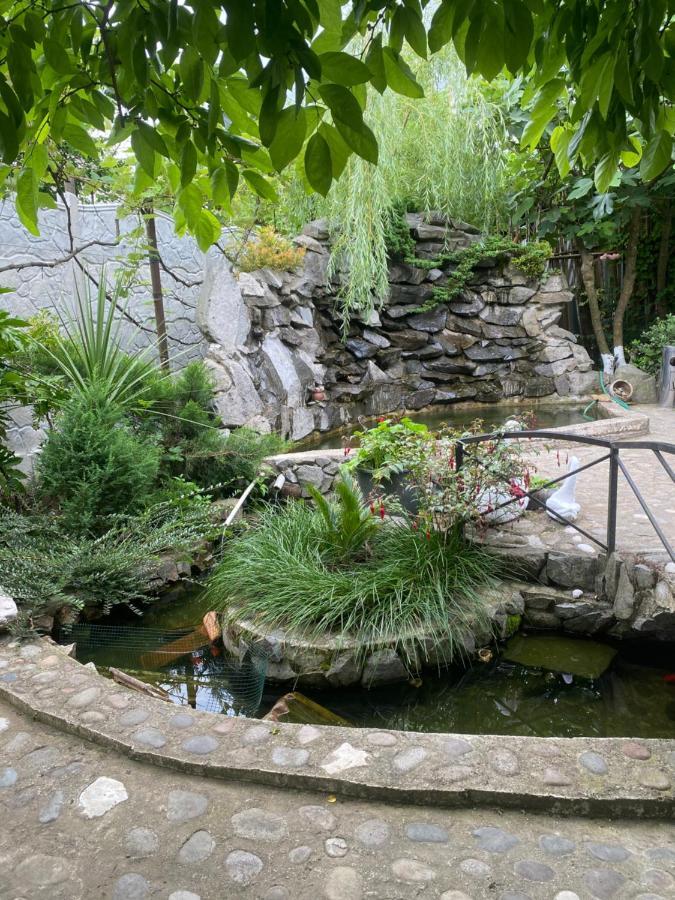 Holiday House Chkonia Ξενοδοχείο Μπατούμι Εξωτερικό φωτογραφία