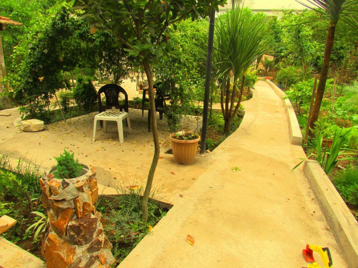 Holiday House Chkonia Ξενοδοχείο Μπατούμι Εξωτερικό φωτογραφία