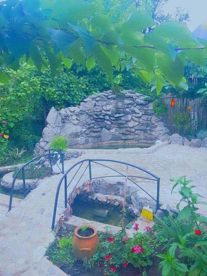 Holiday House Chkonia Ξενοδοχείο Μπατούμι Εξωτερικό φωτογραφία