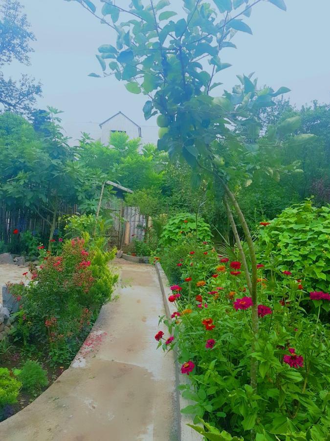 Holiday House Chkonia Ξενοδοχείο Μπατούμι Εξωτερικό φωτογραφία